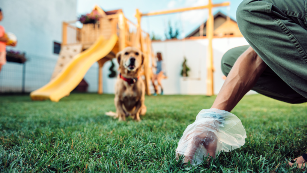 Our Services Paw & Order Sanitation Poop scooping company Columbus picks up dog poop as dog looks on happy at their healthy, safe yard.