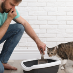 Man holds nose as he cleans cat litter box in Columbus to eliminate pet odor